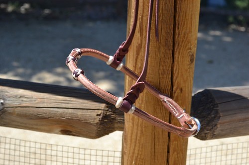 Jose ortiz rolled harness - jose,